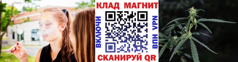 ГАШ Рошаль
