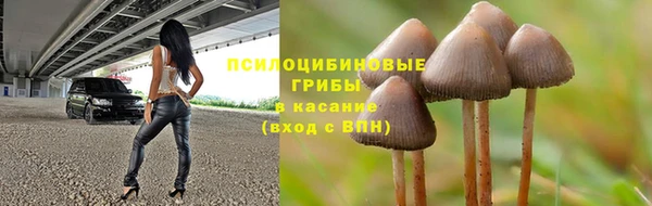 мяу мяу мука Аркадак
