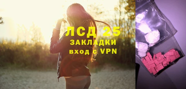 мяу мяу мука Аркадак